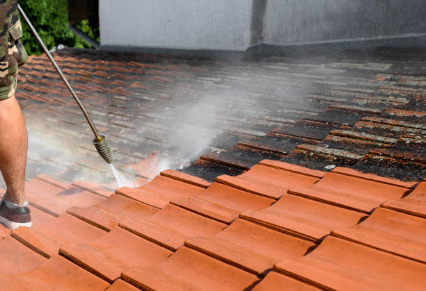 Best Commercial Building Pressure Washing  in Knightsen, CA